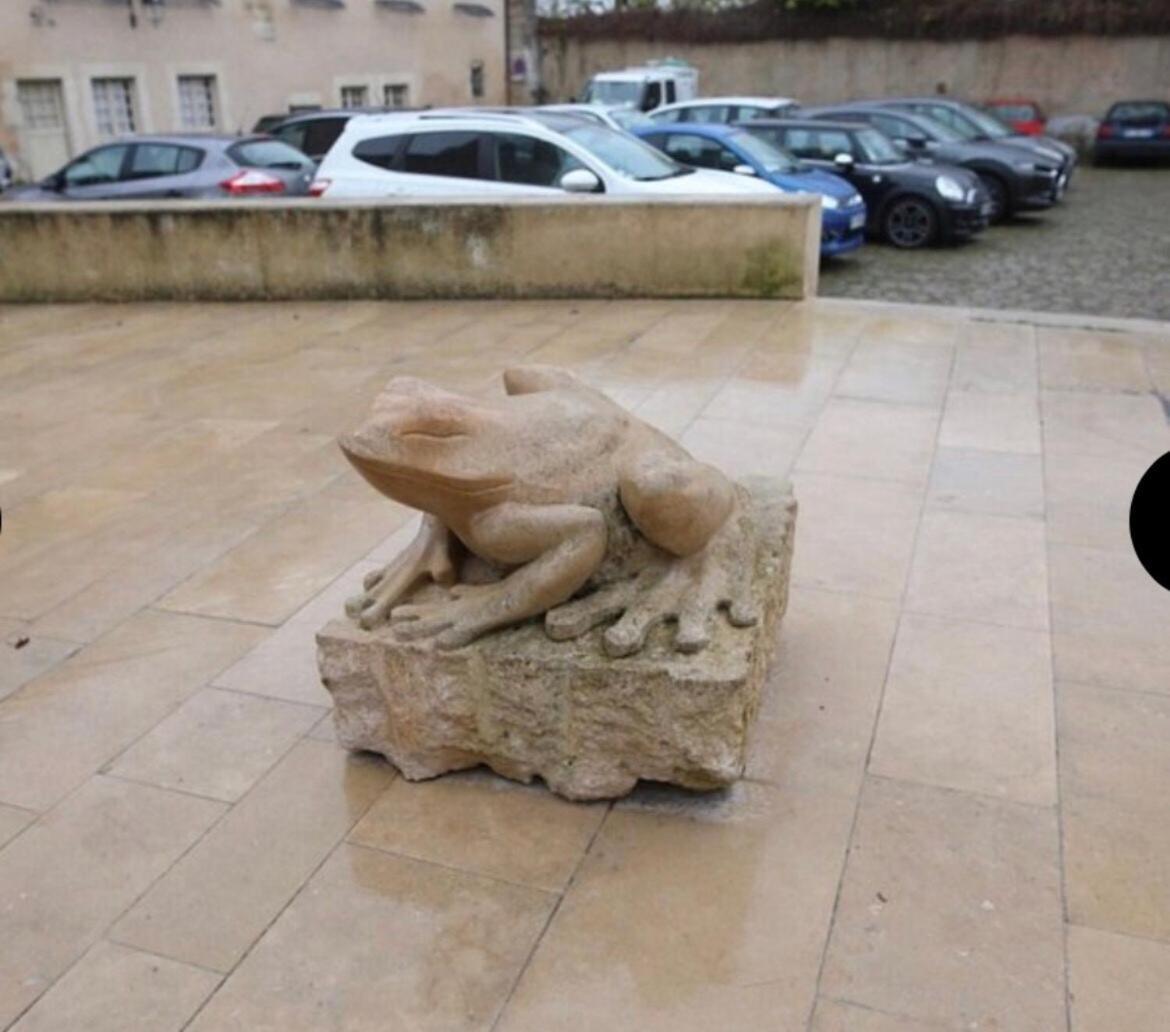 "La Grenouille" Centre Historique - Les Terres Du Roy Villa Avallon Exterior foto